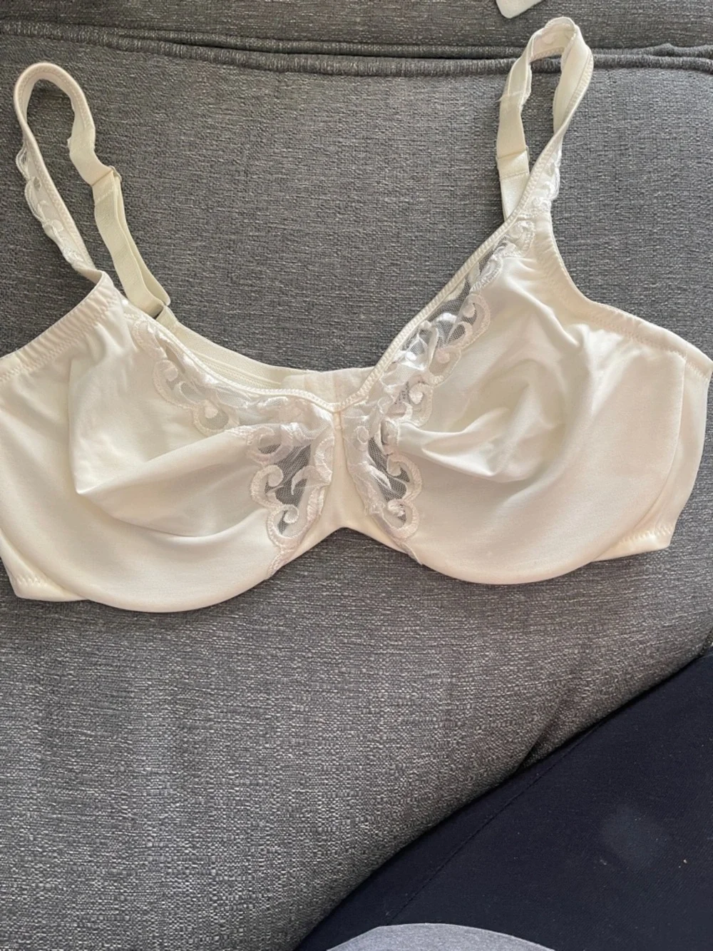Lilyette Ivory Lace-Trim Underwire Bra - Picture 1 of 5